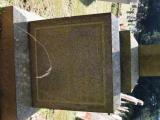 image of grave number 820556